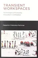 Spații de lucru tranzitorii: Tehnologii ale inovației cotidiene în Zimbabwe - Transient Workspaces: Technologies of Everyday Innovation in Zimbabwe