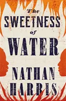 Dulceața apei - pe lista lungă pentru Booker Prize 2021 - Sweetness of Water - Longlisted for the 2021 Booker Prize
