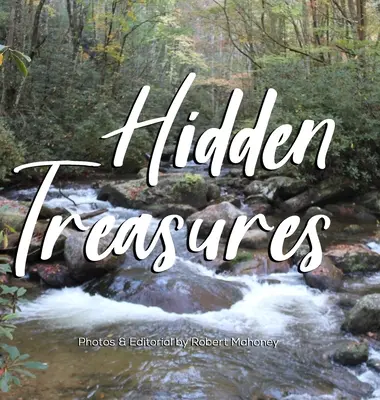 Comori ascunse: Un ghid ilustrat pentru găsirea fericirii și vindecării în natură - Hidden Treasures: An Illustrated Guide to Finding Happiness & Healing in Nature