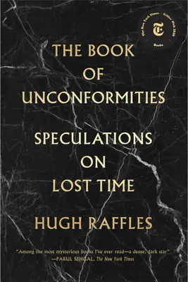 Cartea neconformităților: Speculații asupra timpului pierdut - The Book of Unconformities: Speculations on Lost Time