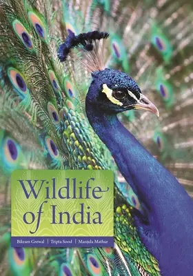 Viața sălbatică din India - Wildlife of India