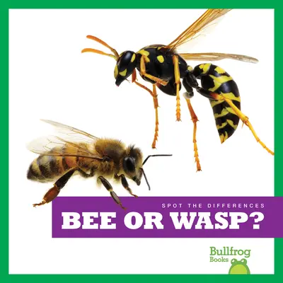 Albină sau viespe? - Bee or Wasp?