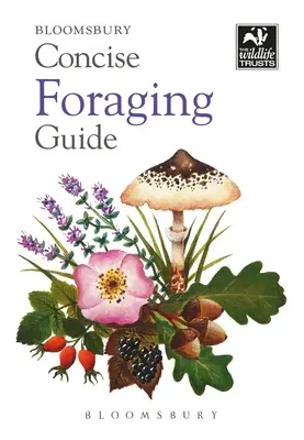 Ghid concis de hrănire - Concise Foraging Guide