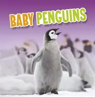 Pinguini pui - Baby Penguins