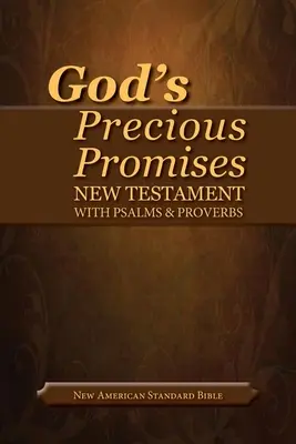 Promisiunile prețioase ale lui Dumnezeu Noul Testament-NASB - God's Precious Promises New Testament-NASB