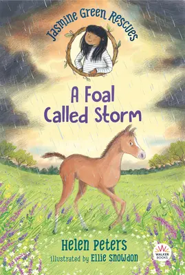 Jasmine Green Rescues: Un mânz numit Storm - Jasmine Green Rescues: A Foal Called Storm