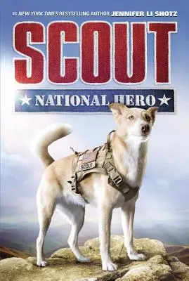 Cercetaș: Erou național - Scout: National Hero