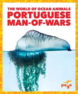 Portughez Man-Of-Wars - Portuguese Man-Of-Wars