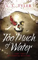 Prea multă apă - un roman polițist istoric captivant - Too Much of Water - a gripping historical crime novel