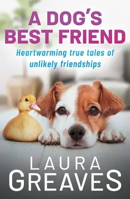 Cel mai bun prieten al unui câine: Povești adevărate și cutremurătoare despre o prietenie improbabilă - A Dog's Best Friend: Heartwarming True Tales of Unlikely Friendship