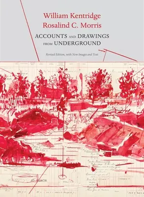 Conturi și extrageri din subteran: Cartea de numerar a East Rand Proprietary Mines - Accounts and Drawings from Underground: The East Rand Proprietary Mines Cash Book