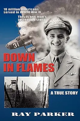 Jos în flăcări - Down in Flames
