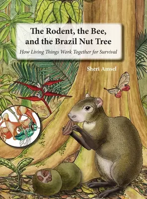 Rozătoarea, albina și copacul cu nuci de Brazilia: Cum lucrează împreună ființele vii pentru supraviețuire - The Rodent, the Bee, and the Brazil Nut Tree: How Living Things Work Together for Survival