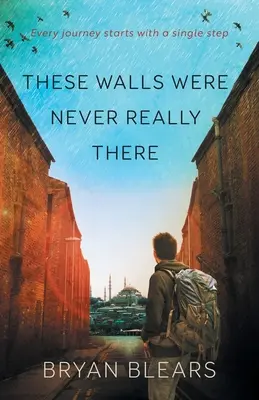 Aceste ziduri nu au fost niciodată acolo cu adevărat - These Walls Were Never Really There
