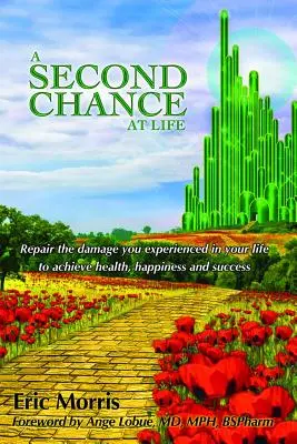 A doua șansă la viață: Repararea daunelor pe care le-ați experimentat în viața voastră - A Second Chance at Life: Repairing the Damage You Have Experienced in Your Lives