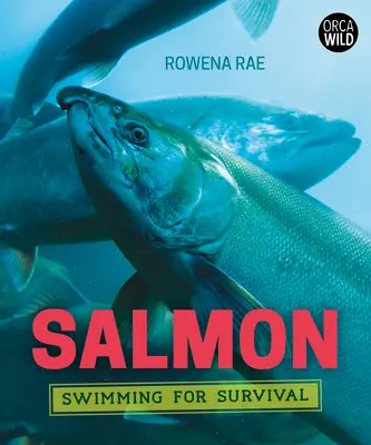 Somonul: Înot pentru supraviețuire - Salmon: Swimming for Survival