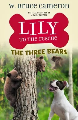Lily la salvare: Cei trei urși - Lily to the Rescue: The Three Bears