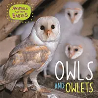 Animalele și puii lor: Bufnițe și bufnițe - Animals and their Babies: Owls & Owlets