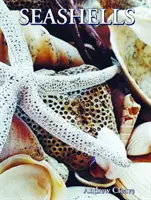 Scoici de mare - Seashells
