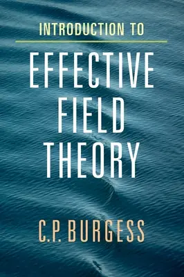 Introducere în teoria câmpului eficient - Introduction to Effective Field Theory