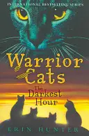 Ora cea mai întunecată - Darkest Hour