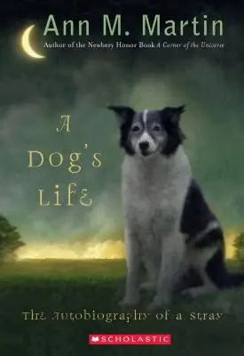 Viața unui câine: Autobiografia unui vagabond (Scholastic Gold) - A Dog's Life: The Autobiography of a Stray (Scholastic Gold)