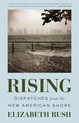 Rising: Dispecerate de pe noul țărm american - Rising: Dispatches from the New American Shore