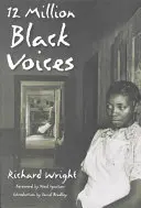 12 Million Black Voices (12 milioane de voci negre) - 12 Million Black Voices