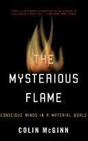 The Mysterious Flame: Minți conștiente într-o lume materială - The Mysterious Flame: Conscious Minds in a Material World