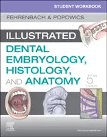 Caiet de lucru pentru student pentru Embriologie dentară ilustrată, histologie și anatomie - Student Workbook for Illustrated Dental Embryology, Histology and Anatomy