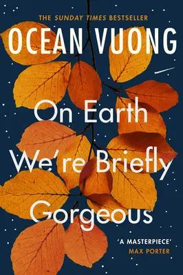 Pe Pământ suntem pe scurt superbi - On Earth We're Briefly Gorgeous