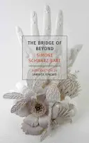 Podul de Dincolo - The Bridge of Beyond
