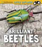 Gândaci strălucitori - Brilliant Beetles