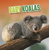 Koala copii - Baby Koalas