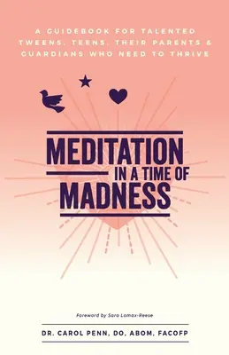 Meditație într-un timp de nebunie: Un ghid pentru tweens talentați, adolescenți, părinții și tutorii lor care trebuie să prospere - Meditation in a Time of Madness: A Guidebook for Talented Tweens, Teens, Their Parents & Guardians Who Need to Thrive