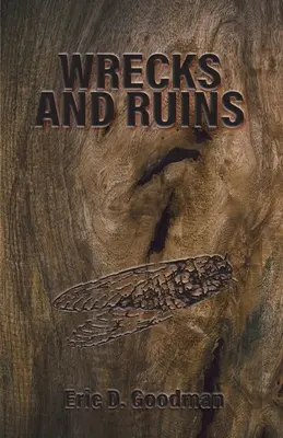 Epave și ruine - Wrecks and Ruins