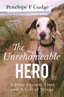 Un erou care nu poate sta acasă, o cursă contra cronometru și un dar de aripi - Unrehomeable Hero, A Race Against Time & A Gift of Wings