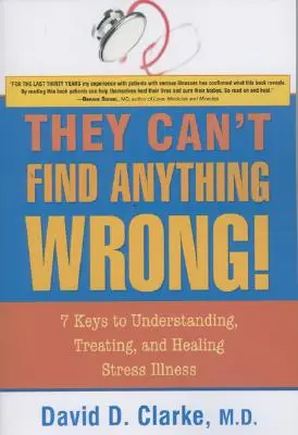 Ei nu pot găsi nimic greșit! 7 chei pentru înțelegerea, tratarea și vindecarea bolilor de stres - They Can't Find Anything Wrong!: 7 Keys to Understanding, Treating, and Healing Stress Illness