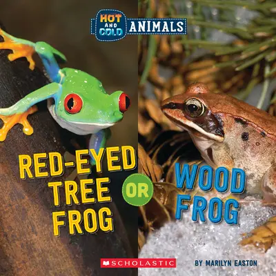 Broasca de copac cu ochi roșii sau broasca de lemn (Animale calde și reci) - Red-Eyed Tree Frog or Wood Frog (Hot and Cold Animals)
