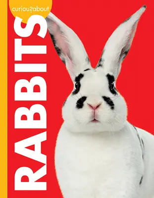 Curioși despre iepuri - Curious about Rabbits