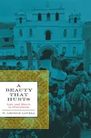 O frumusețe care doare - Viață și moarte în Guatemala, a doua ediție revizuită - A Beauty That Hurts - Life and Death in Guatemala, Second Revised Edition