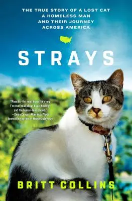 Strays: Povestea adevărată a unei pisici pierdute, a unui om fără adăpost și a călătoriei lor prin America - Strays: The True Story of a Lost Cat, a Homeless Man, and Their Journey Across America