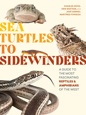 Sea Turtles to Sidewinders: Un ghid al celor mai fascinante reptile și amfibieni din vest - Sea Turtles to Sidewinders: A Guide to the Most Fascinating Reptiles and Amphibians of the West