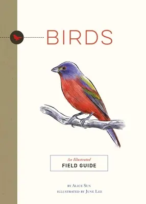 Păsări: Un ghid de teren ilustrat - Birds: An Illustrated Field Guide