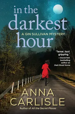 In the Darkest Hour: Un mister Gin Sullivan - In the Darkest Hour: A Gin Sullivan Mystery