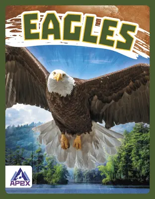 Vulturi - Eagles