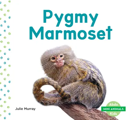 Marmoset pigmeu - Pygmy Marmoset