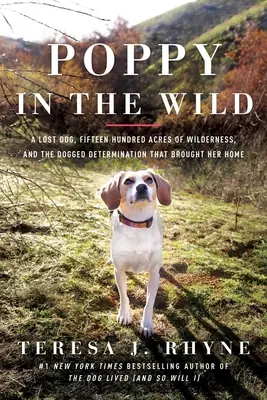 Poppy în sălbăticie: Un câine pierdut, cincisprezece sute de acri de sălbăticie și determinarea perseverentă care a adus-o acasă - Poppy in the Wild: A Lost Dog, Fifteen Hundred Acres of Wilderness, and the Dogged Determination That Brought Her Home