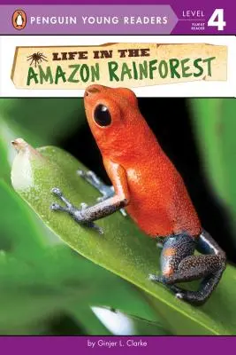 Viața în pădurea tropicală amazoniană - Life in the Amazon Rainforest