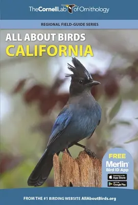 Totul despre păsări California - All about Birds California